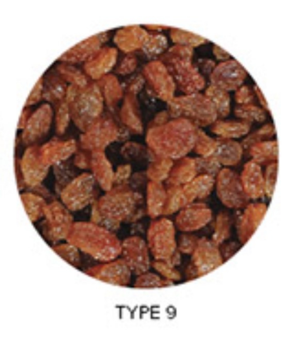 Picture of 12.5KG TURKISH SULTANAS
