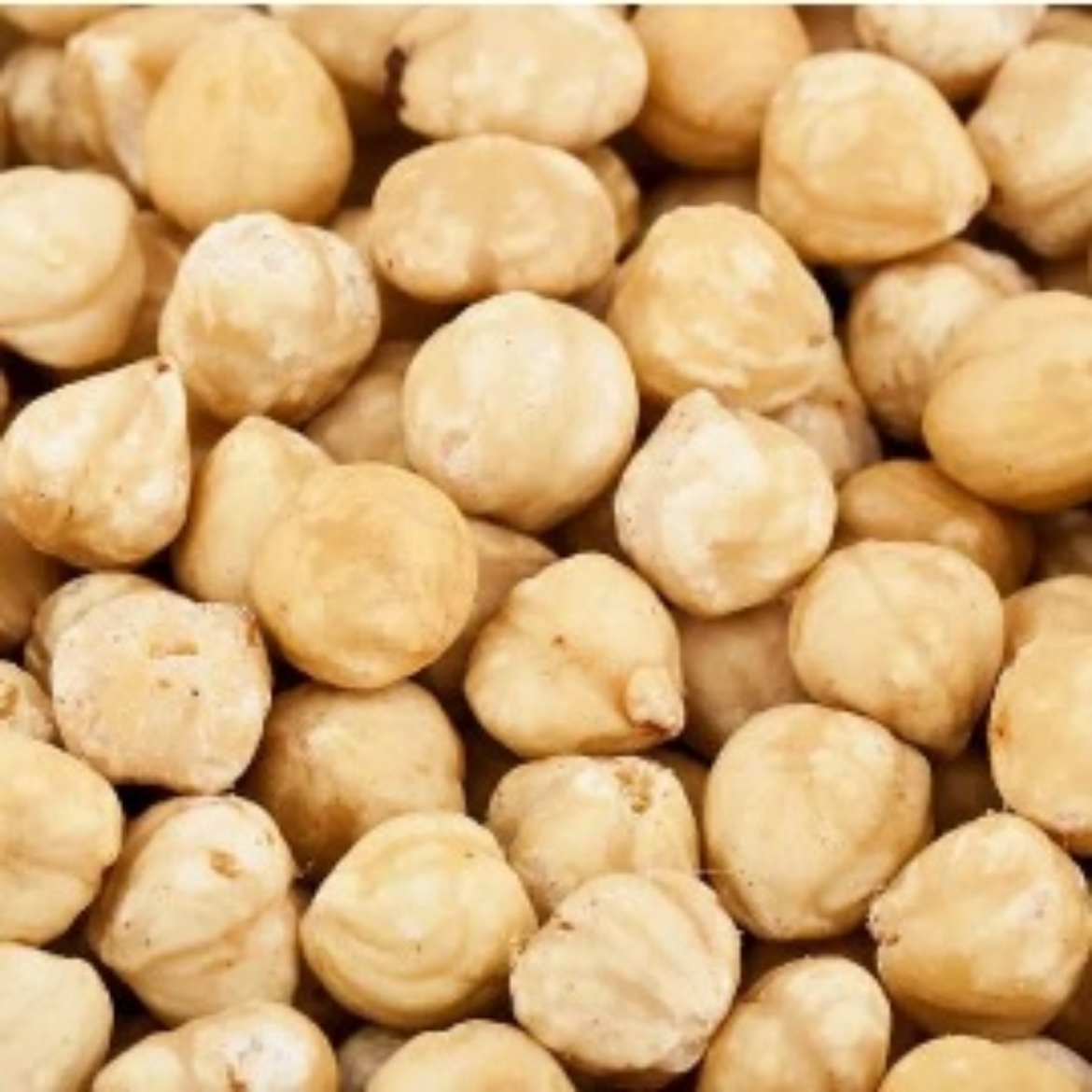 Picture of 1KG BLANCHED WHOLE HAZELNUTS