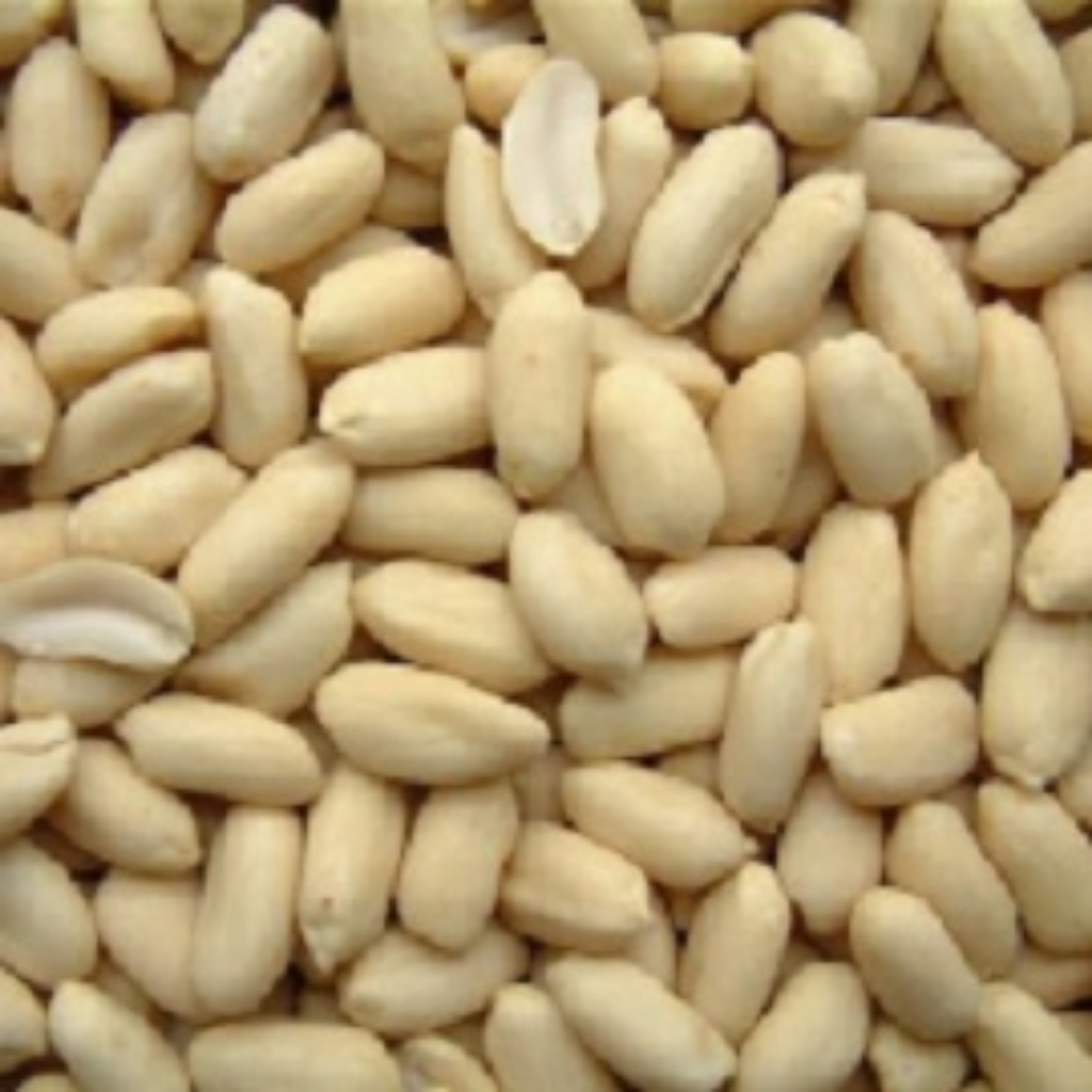 Picture of 25KG PEANUTS WHITE RAW (H) (K)