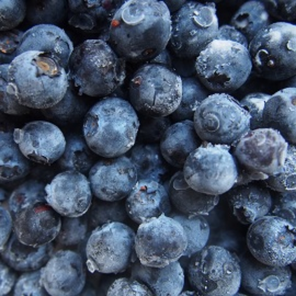 Picture of 1KG FROZEN BLUEBERRY