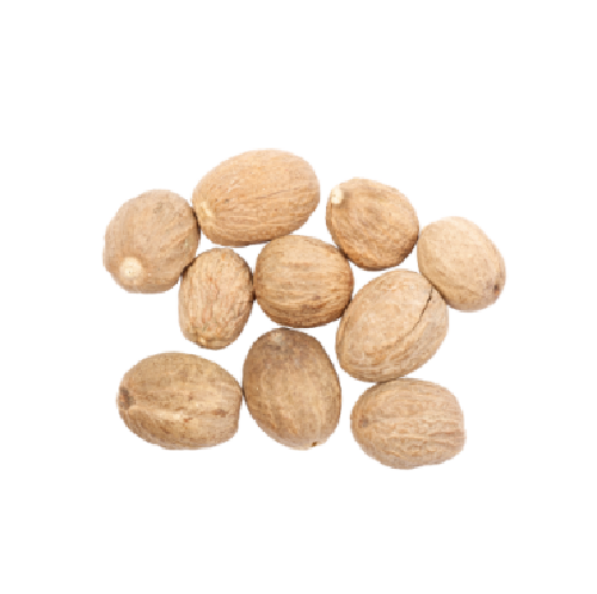 Picture of 1KG WHOLE NUTMEG (H)