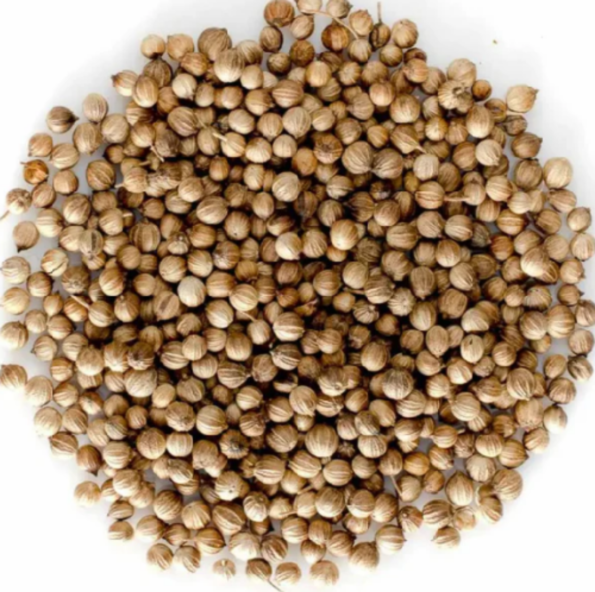 Picture of 1KG CORIANDER SEEDS (H)